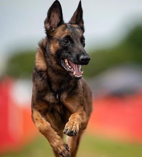 received_760608041269466_edited_edited.j