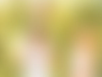 REABERTURA GRADUAL DA AFFESC