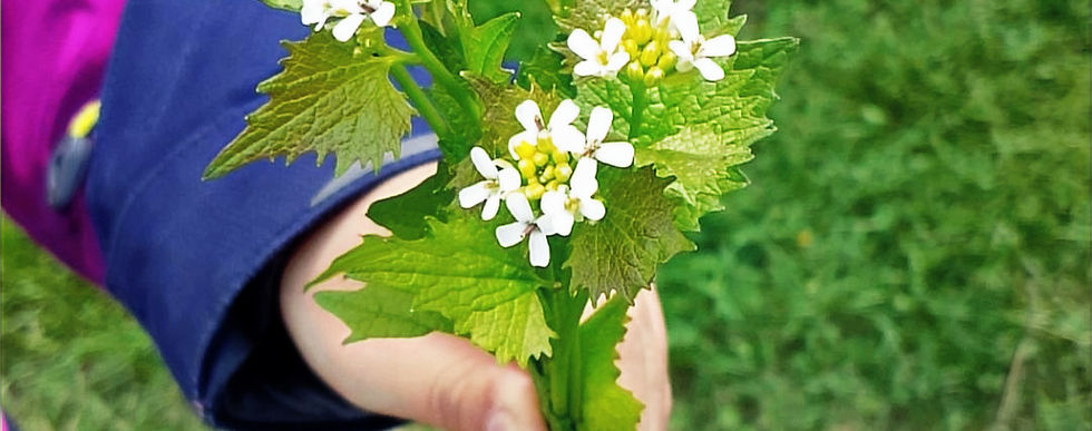 BLUME_edited.jpg