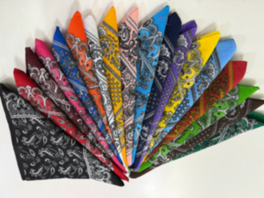 Paliacate Varios Colores
