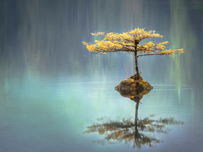 להיות באינטימיות עם החיים