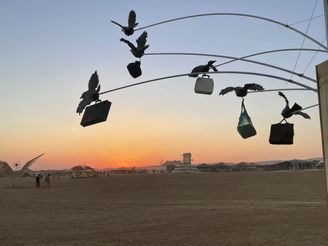 מה למדתי במידברן על אושר?