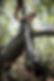 runandbike2.jpg