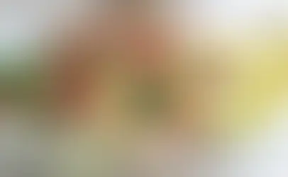 Salada de Quinoa com Atum, Pepino e Especiarias Frescor Nutri