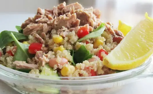 Salada de Quinoa com Atum, Pepino e Especiarias Frescor Nutri