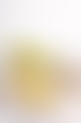 Pudim de Manga com Yogurt, Chia e Hortelã