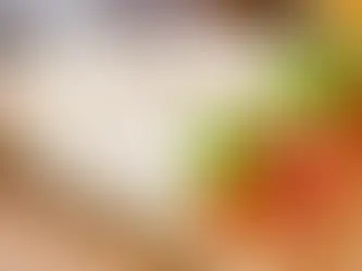 Wrap de Frango com Tempero Frescor Nutri de Cebola, Alho e Salsa