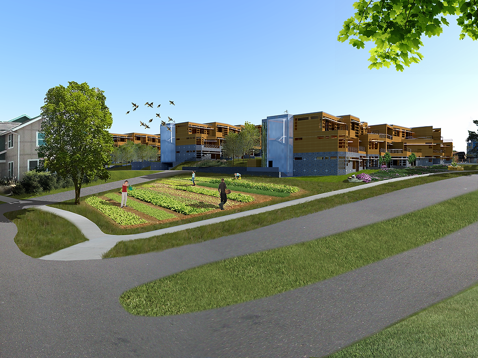 Community Garden