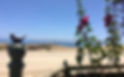 IMG_4478.jpeg