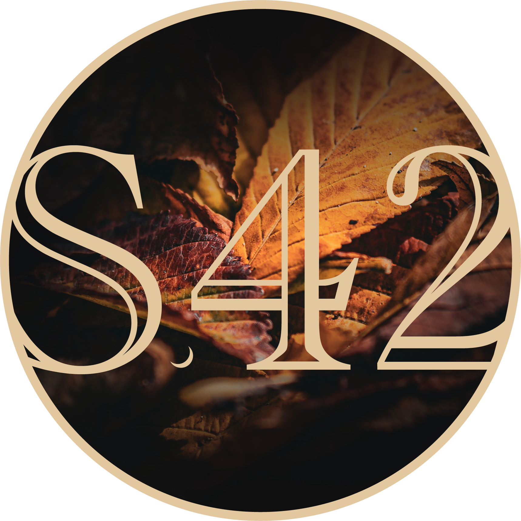 Studio42Mpls_PrimaryLogo.png