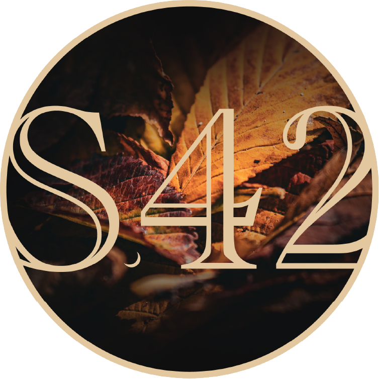 Studio 42 Mpls Logo