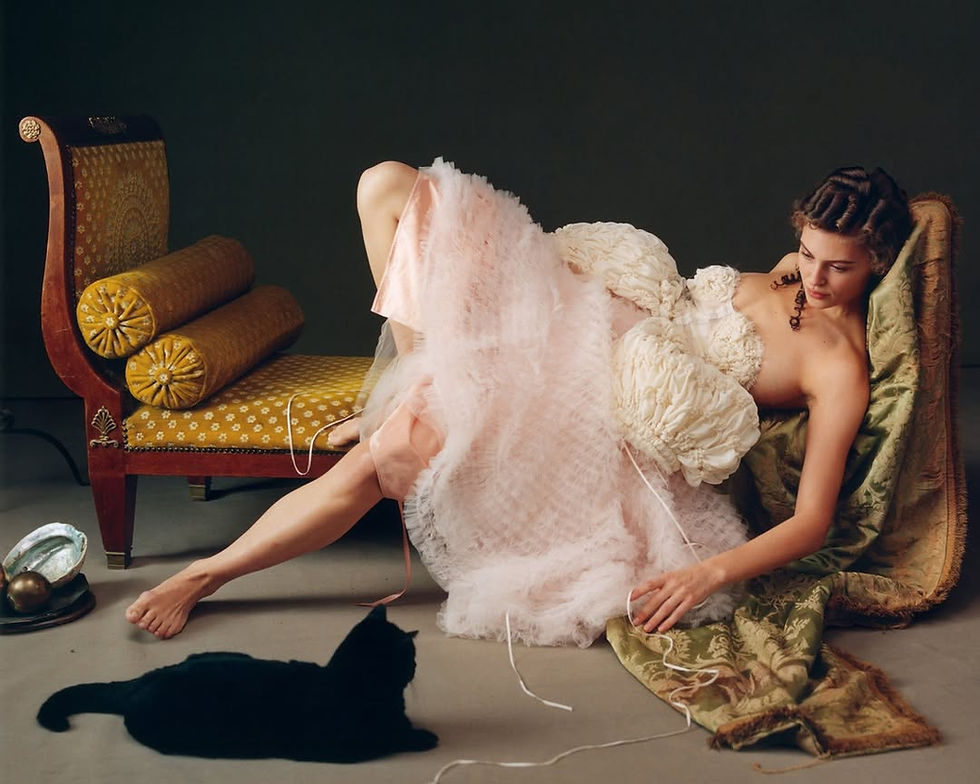 An opulent symphony of texture and color calls to mind the energy of the Renaissance.__Pho