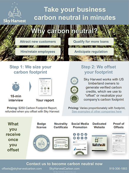 How to go Carbon Neutral today