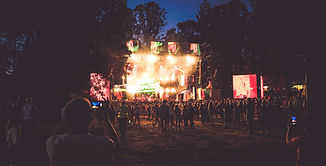 Outdoor Music Concert_edited.jpg