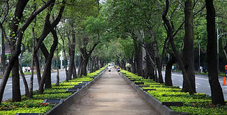 Picturesque Park Scenes_edited.jpg