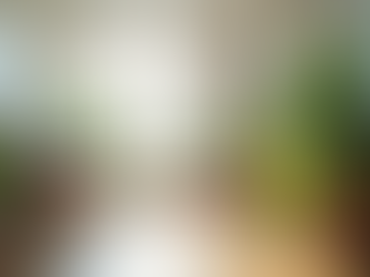 Unveiling Myths About Functional Medicine