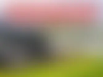 Espaço do projeto Cultivando o Saber Fazer - Flores teve seu espaço reconstruído.