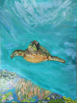 sea turtle