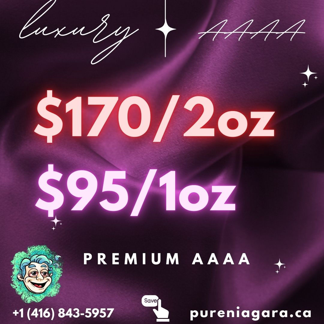 Luxury Choice - AAAA