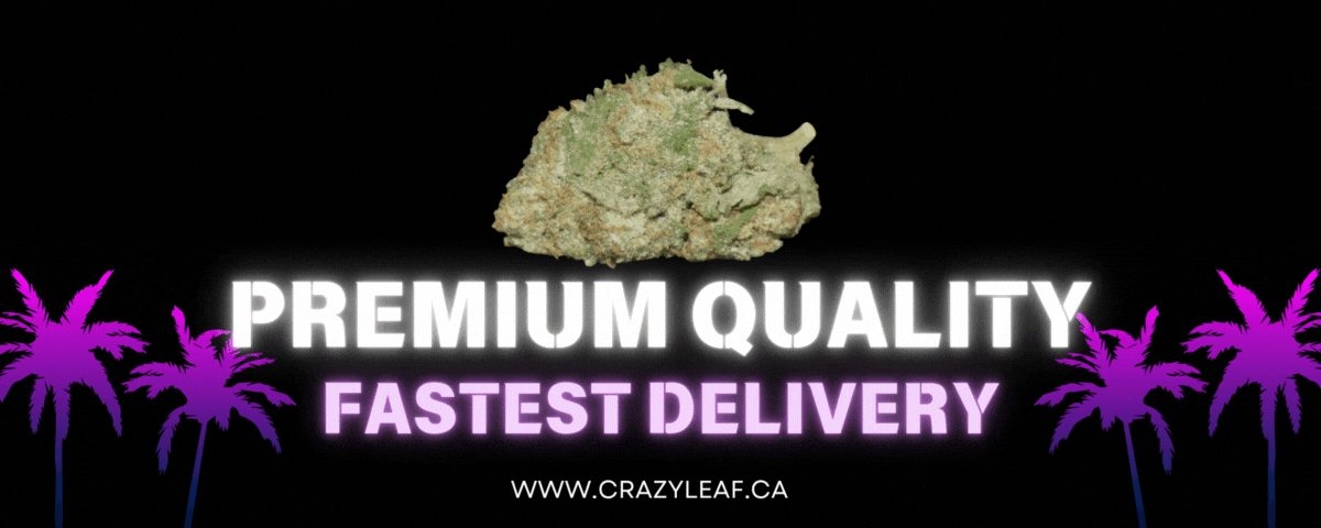 Copy of Black and Blue Animated Gamer Twitch Banner (9).gif