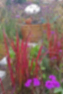 Lots of Colour