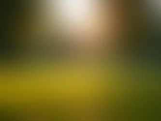 Unlock Affordable Life Insurance with Synergy Insurance Group for Every Family in NC and Beyond