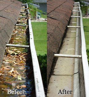 gutter_cleaning.jpg