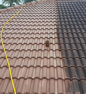 roof-cleaning.jpeg
