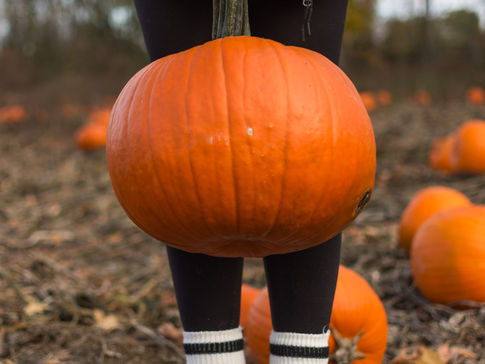 Fall Fair & Farmers Market at Freedom Acres Ranch