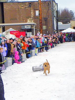 2026 Winter Carnival: Eichardt's K9 Keg Pull