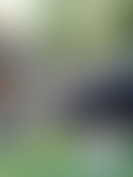 Auburn Valley Humane Society 2026 Whiskers & Paws Gala