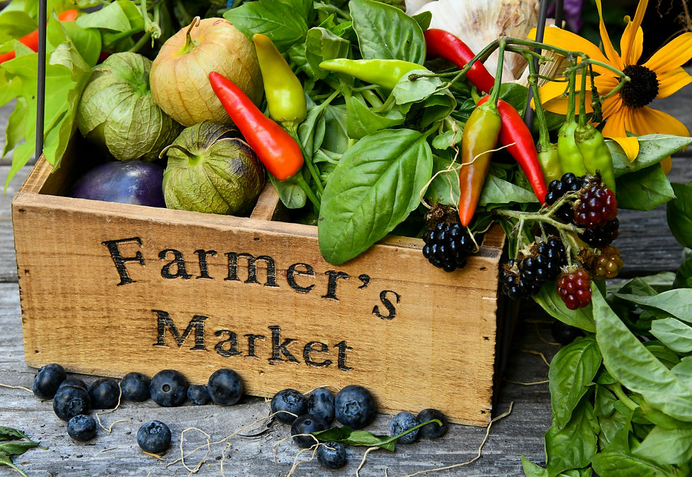 farmers market