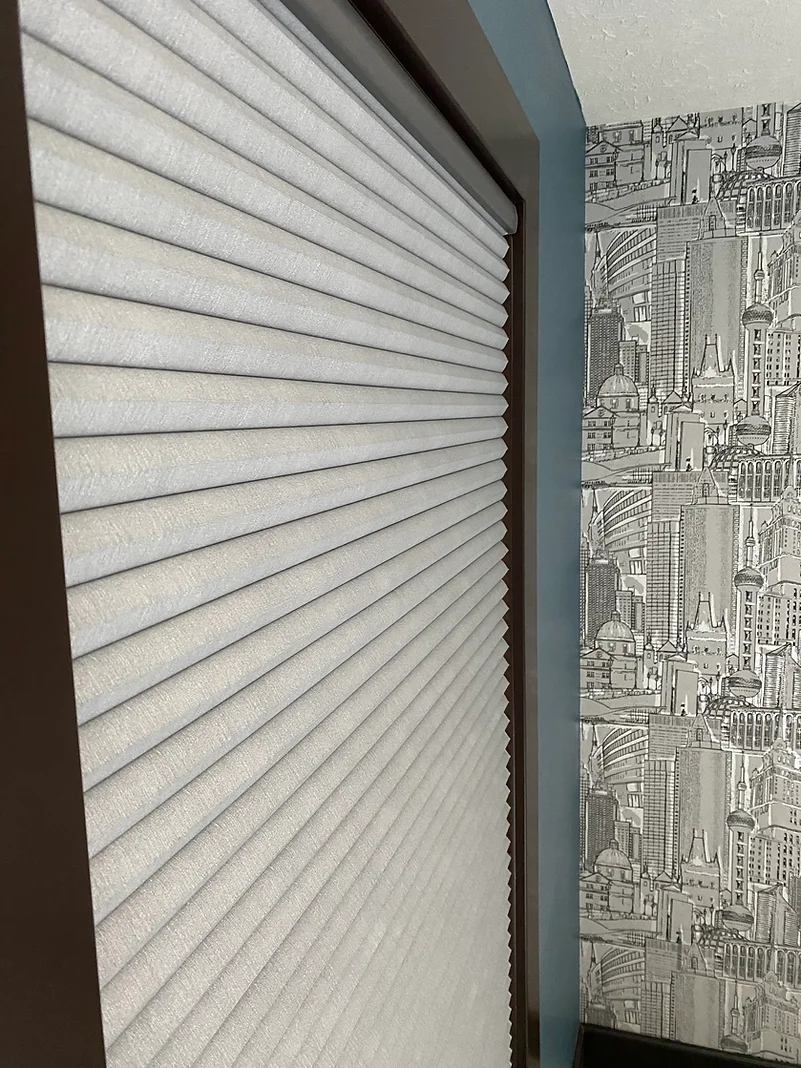Room Darkening Honeycomb Shades