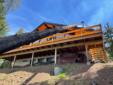 northwest-tree-care-Storm-Damage.png