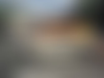 39th Annual Lost in the ‘50s