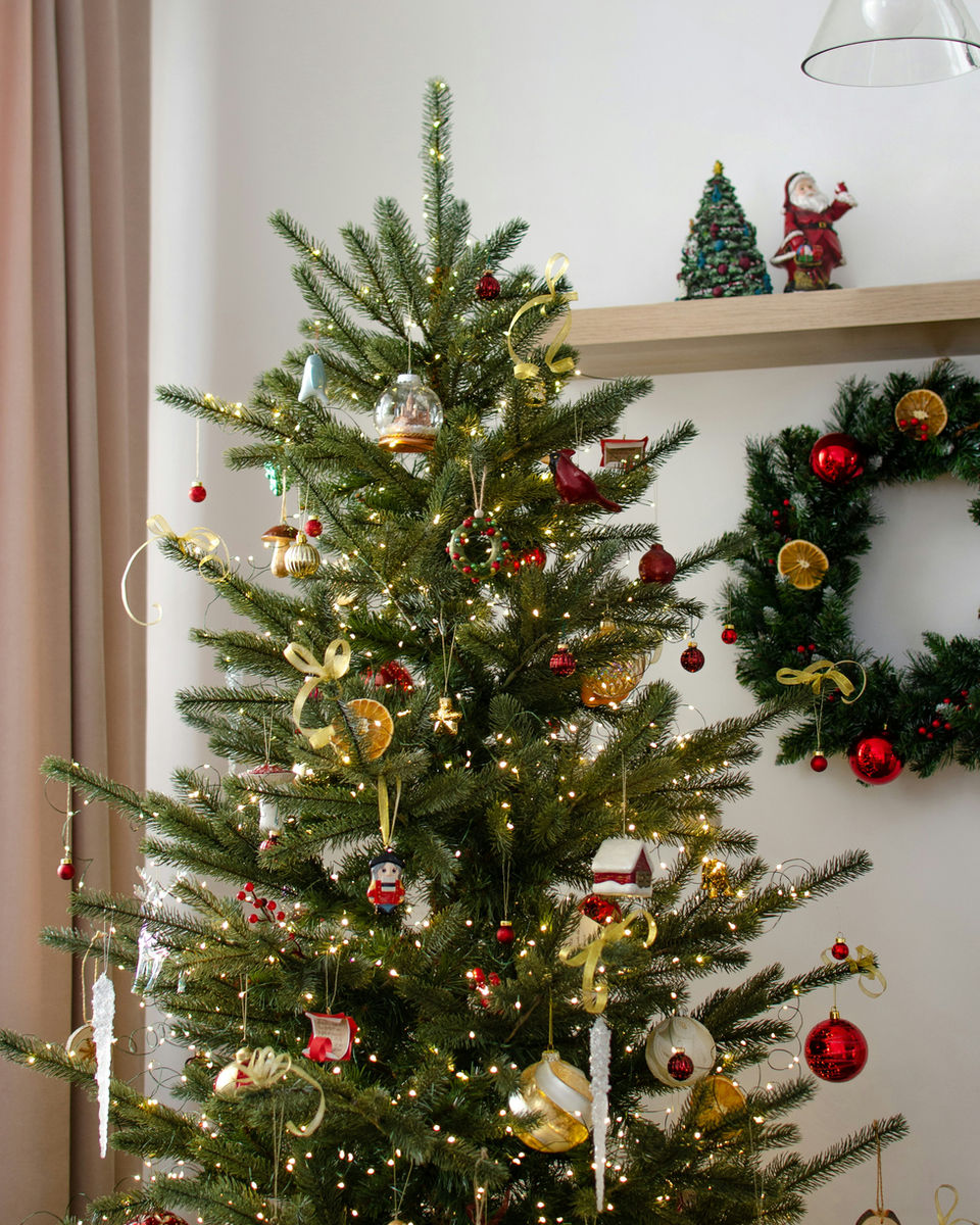 A full Christmas tree trimmed in red and gold beside a sunny window