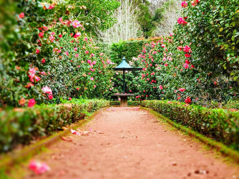 49th Annual CDA Garden Club Tour