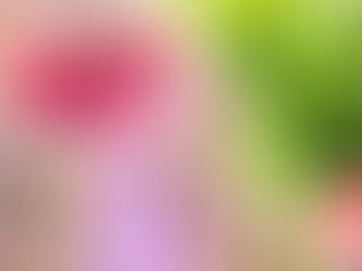 July 6, 2017 - Fun in the Sun!