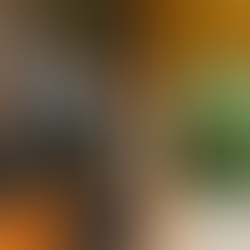 Q&A with Caleb Worley, Owner of Worley Homes