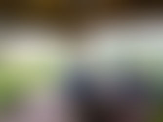 From Yard to Living Space