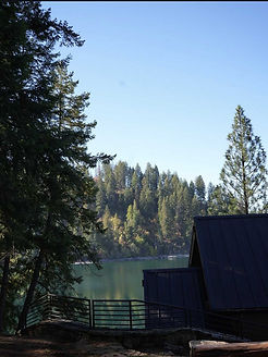 nortthwest-tree-care-tree-services010.jpeg