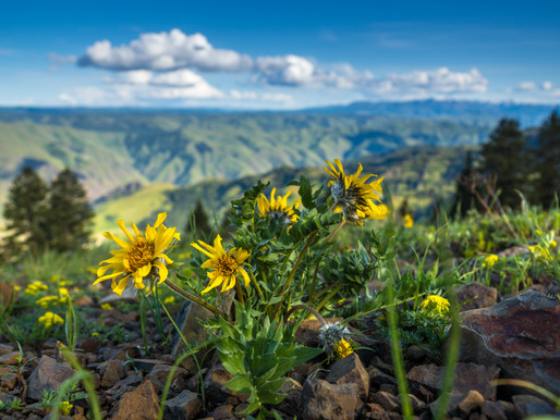 Travel Idaho