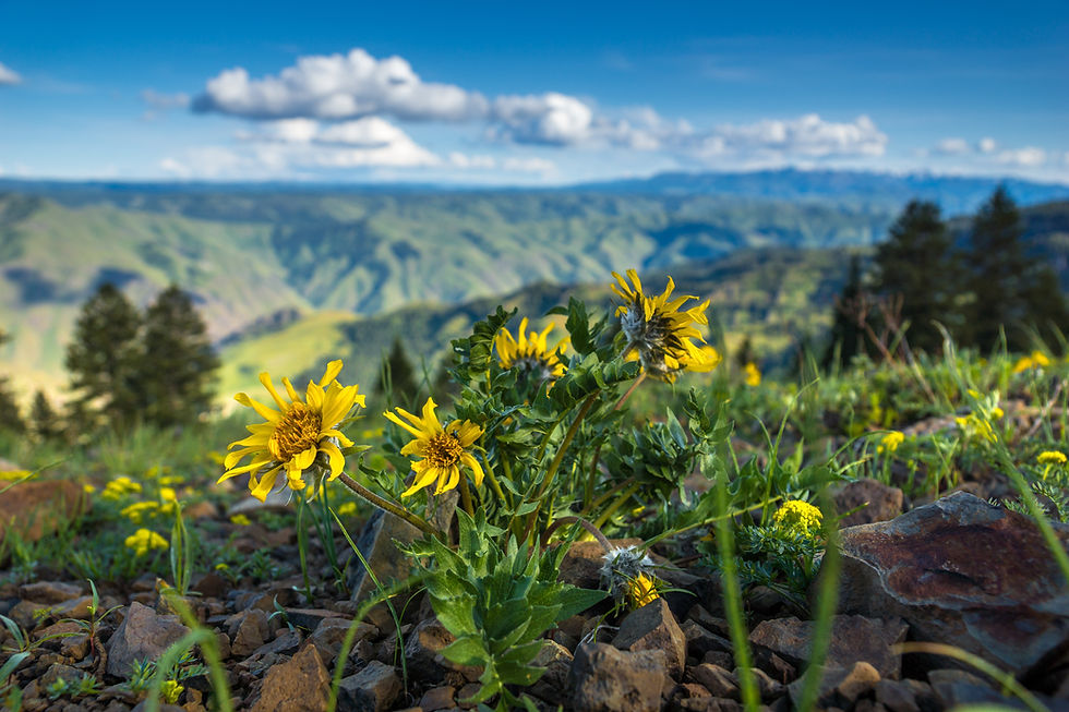 Travel Idaho