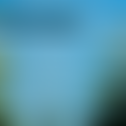 Catchin’ the Big One …