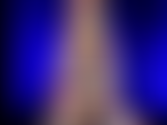 Festival of Trees Gala