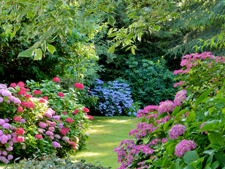 Beautiful Garden Landscaping