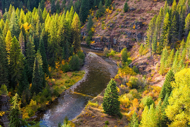 nothern-nutrition-coeurdalene-idaho.jpg
