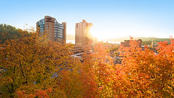 AdobeStock_267878184 (1).jpeg