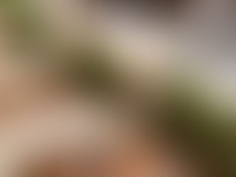 A Wedding at a Winery