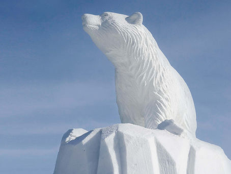 Snow, snow, snow …